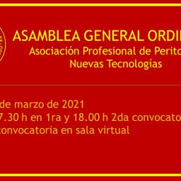 ASAMBLEA GENERAL ORDINARIA Asociación Profesional de Peritos de Nuevas Tecnologías