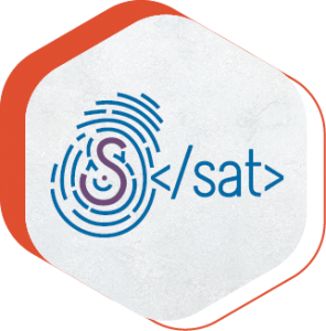 Logotipo de la X jornada SAT 2021